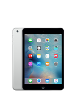 Ремонт iPad Mini 4 - iServRepair